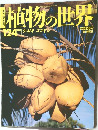 週刊 朝日百科 植物の世界 124