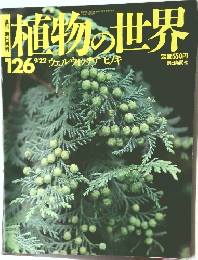 植物の世界　126