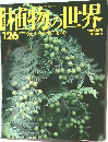 植物の世界　126
