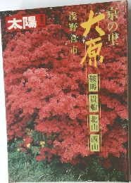 太陽　京の里
