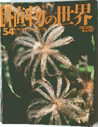 直物の世界　54　4月30日号