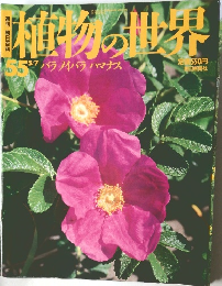 植物の世界　55　5月7日号