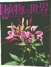 植物の世界　66　7月23日号