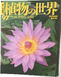 動植物の世界　No.97　ハス、 スイレン、シキミ