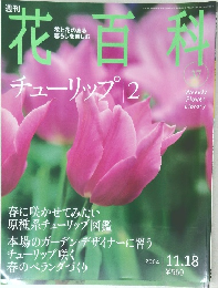 花百科　2004年11月号