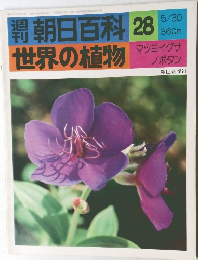 週刊 朝日百科 世界の植物 28 マツヨイグサ ノボタン