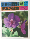 週刊 朝日百科 世界の植物 28 マツヨイグサ ノボタン