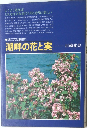 近江文化叢書 11  湖畔の花と実