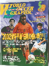 WORLD SOCCER GRAPHIC