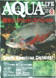 月刊アクアライフ　2002年8月号　No.277