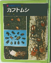 カブトムシ
