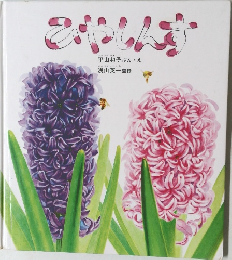 ひやしんす