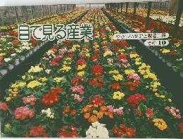 目で見る産業　やさしい歴史と製造工程 その10