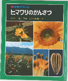 科学のアルバム  ヒマワリのかんさつ