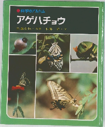 科学のアルバム　アゲハチョウ