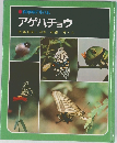 科学のアルバム　アゲハチョウ