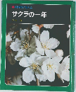 科学のアルバム　サクラの一年