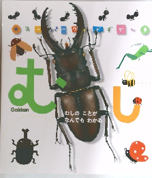 むし