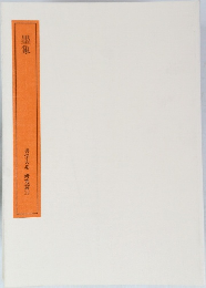 墨象  書学大系 研究篇 12