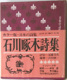 カラー版・日本の詩集　石川啄木詩集