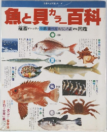 魚と貝カラー百科