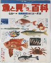 魚と貝カラー百科