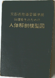 人体解剖模型図
