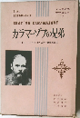 ジュニア版  世界の文学  17