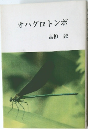 オハグロトンボ