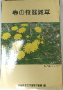 春の校庭雑草