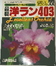 最新洋ラン403