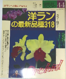 洋ランの最新品種318　44
