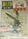 科学実験臨時増刊