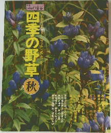 山と渓谷　四季の野草 秋
