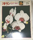 洋ラン  読売園芸シリーズ  観賞と栽培