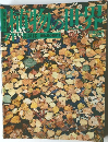 植物の世界　1971年8月号
