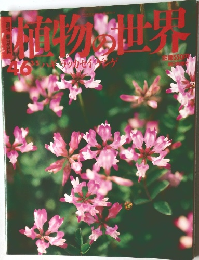 週刊 朝日百科 植物の世界 46 ハギ ラッカセイ ゲンゲ