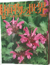 植物の世界　7/24号　15号