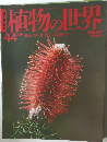 植物の世界　44