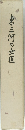 東三河の女