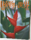 植物の世界　115　バナナハイチップレー