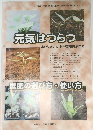 元気はつらつ　おいしさいっぱいの野菜を育てる