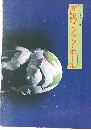 図説ブラック・ホール