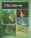 アカトンボの一生