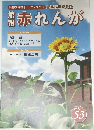 館報　赤れんが　vol.53
