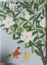 毎日が発見　2015　6