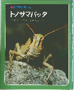 科学のアルバム  トノサマバッタ