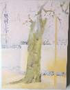 奥村土牛 作品集