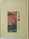 宗次郎　こころのうた
