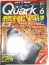 Quark 6　1994